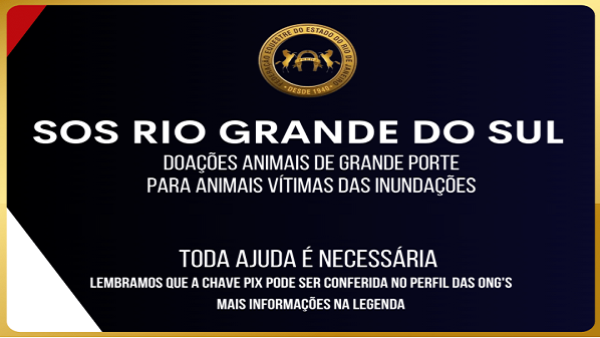 SOS RIO GRANDE DO SUL/TODA A AJUDA  NECESSRIA