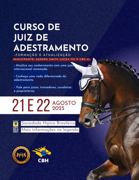 CURSO DE JUIZ DE AD