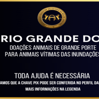 SOS RIO GRANDE DO S